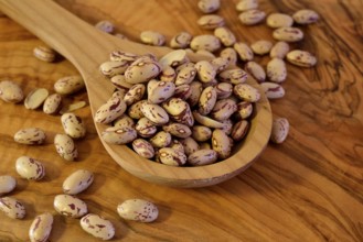 A healty and traditional ingredient of the italian cuisine