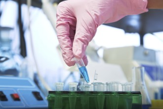 Workplace modern laboratory for molecular biology test