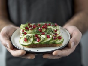 Hands takes plate with vegan sandwich. Healthy appetiezer - whole wheat bread toast with cucumber,