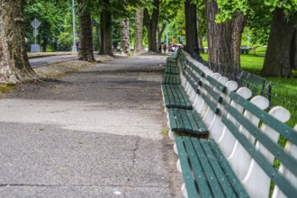 Central Park bench. Shooting Location: New York, Manhattan