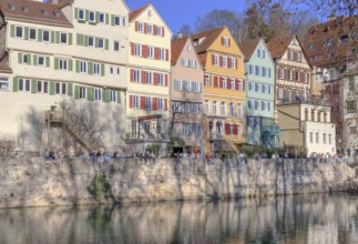 Tübingen, Neckar front, the trees of the Neckar island cast their shadows on the bank wall