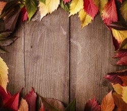 Frame from autumn leaves on the wooden background