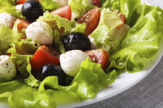 Fresh salad with mozarella cheese and vegetables