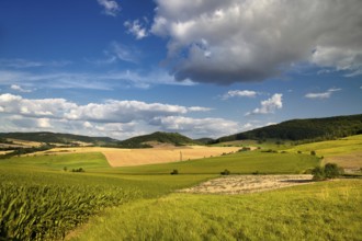 Summer landscape near Jena with cloudy blue sky