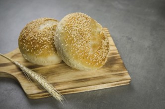 Beautiful Sourdough bread on gray background with dried wheat flower