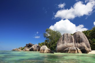La Digue, Palm tree beach, Seychelles, Indian Ocean, Palm trees, La Digue, Indian Ocean,