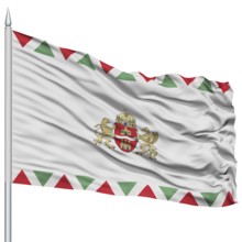 Budapest City Flag on Flagpole, Capital City of Hungary, Flying in the Wind, Isolated on White