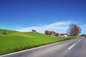 Autumn country road, meadows, trees and farm, blue sky near Leutkirch, Allgäu, Bavaria, Germany,
