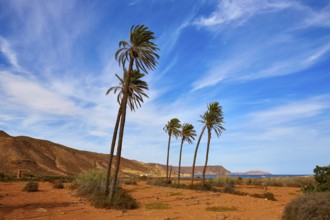 Almeria in Cabo de Gata Playazo Rodalquilar beach at Mediterranean Spain