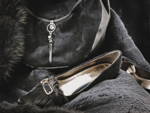 Woman wear accessories: fashionable handbag and shoes at fur