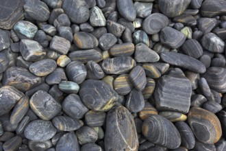 Gray striped pebble as a background