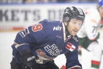 Laura Dick Cologne, LanxessArena, North Rhine-Westphalia, Frederik Storm (Cologne Sharks, #19),