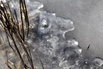 Ice floe, Weser River, looks like a face, Oberweser, Weser Uplands, Weserbergland, Hesse, Germany,