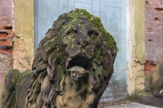 Moss-covered stone lion head. A fragment of a stone statue in the old park. Italy