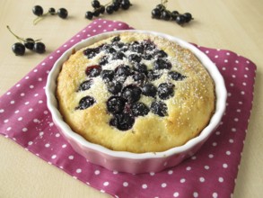Cake with Black currants and icing sugar