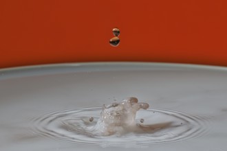 A beige water droplet hits the water surface and creates a small splash on an orange background,