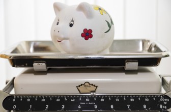 Piggy bank from Sparmeister on old scales - kitchen scales with savings balance