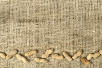 Closeup Peanuts on burlap.Raw peanuts in shells and shelled peanuts. Arranged as border