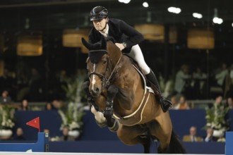 Dominik Juffinger of Austria competes in 1.60m FEI Jumping World Cup at Jumping Amsterdam in