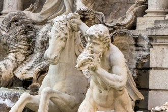Italy, Rome. Trevi Fountain Austria, Europe
