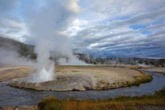 Geyser, Black Sand Basin, Yellowstone NP