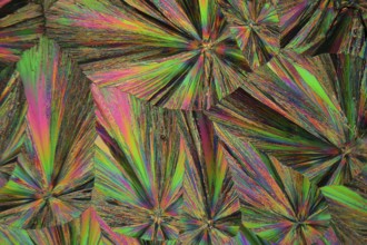 Gadolinium is a rare earth element. The crystals are precipitated from a solution on a microscope