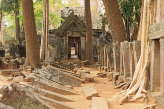 Koh Ker Khmer sanctuary and former capital of the Khmer empire