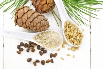 Cedar flour and peeled nuts in two spoons, two cones, a green cedar branch on background of a light