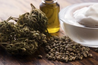 Cannabis oinment natural product. Cosmetic cream from natural hemp, moisturizing lotion with CBD