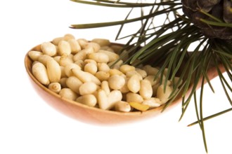 Pine nuts, lodz, poland