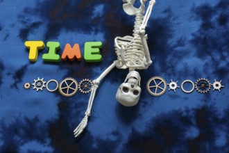 Time wording, cogwheels and artificial skeleton as time concept