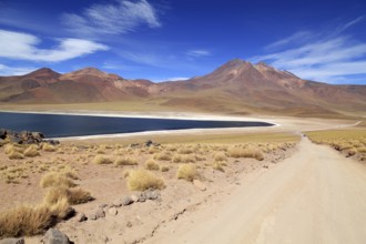 Laguna Miscanti in the Atacama Desert in Chile