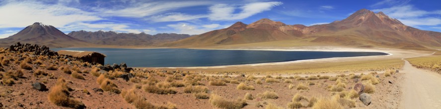 Laguna Miscanti in the Atacama Desert in Chile