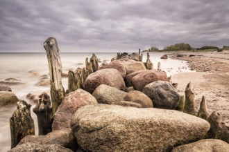 Groynes on the coast of the Baltic Sea near Kühlungsborn