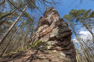 Geiersteinfelsen, Geierstein, Palatinate Forest, Bruchweiler-Bärenbach, Rhineland-Palatinate,