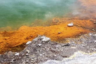 An image of the hot sparkling lake in New Zealand