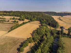 Cereal fields ready for harvest in late summer
