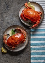 Food, Food, Whole cooked crabs on white plate with lemon and beer. Gray concrete background. Top
