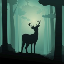 Roebuck in the forest