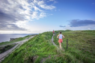 Cliffs of Moher, The Burren, County Clare, Ireland, United Kingdom, Europe