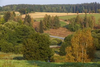 Harz landscape in autumn near Allrode Harz with road