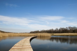 Wooden platforms in nature water lake