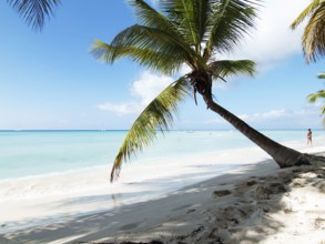 Tropical beach in Dominican republic. Caribbean sea