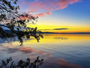 Colourful sunset on Lake Sempach with pink and blue sky reflections in the water, Sempach, Lucerne,