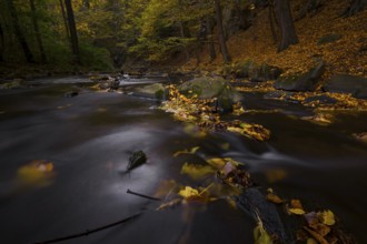 Autumn magic on a river landscape in Lusatia - the Löbauer Wasser 5