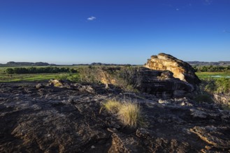 View of the Nadab Floodplains from Nadab Lookout, Ubirr, Kakadu National Park, East Alligator