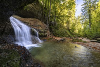 A wide waterfall flows through a dense forest, surrounded by rocks and branches with autumnal