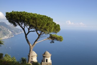 Amalfi Coast seen from Ravello, with a tree and a church in the foreground, Revello, Italy Ravello,