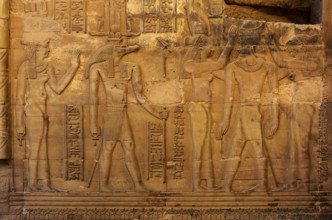 Hieroglyphic carvings on the exterior walls of an ancient egyptian temple