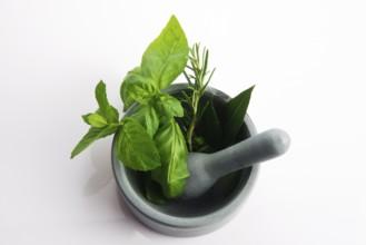 Mortar with herbs isolated on a white background